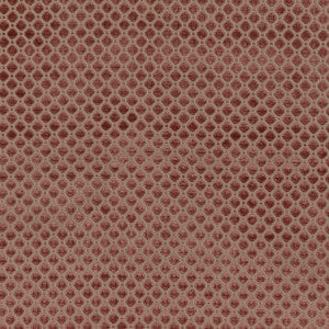 Indus Velvet Blush by G P & J Baker Fabric