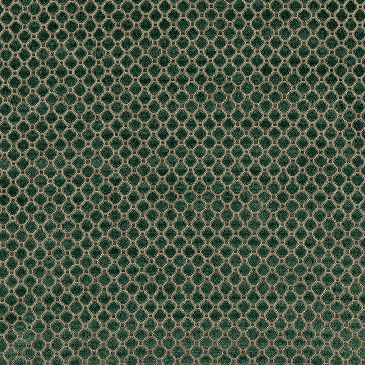 Indus Velvet Emerald by G P & J Baker Fabric COROMANDEL VELVETS VISCOSE - 100% Belgium HEAVY Horizontal: 1.379 and Vertical: 1.379 53.978 - Fabric Carolina -