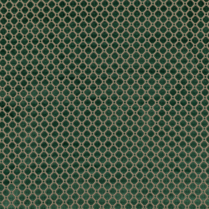 Indus Velvet Emerald by G P & J Baker Fabric G P & J Baker Fabric Indus Velvet EmeraldFabric COROMANDEL VELVETS VISCOSE - 100% Belgium </p><p>Repeat: H: 1.379, V: 1.379 53.978 - Fabric Carolina -