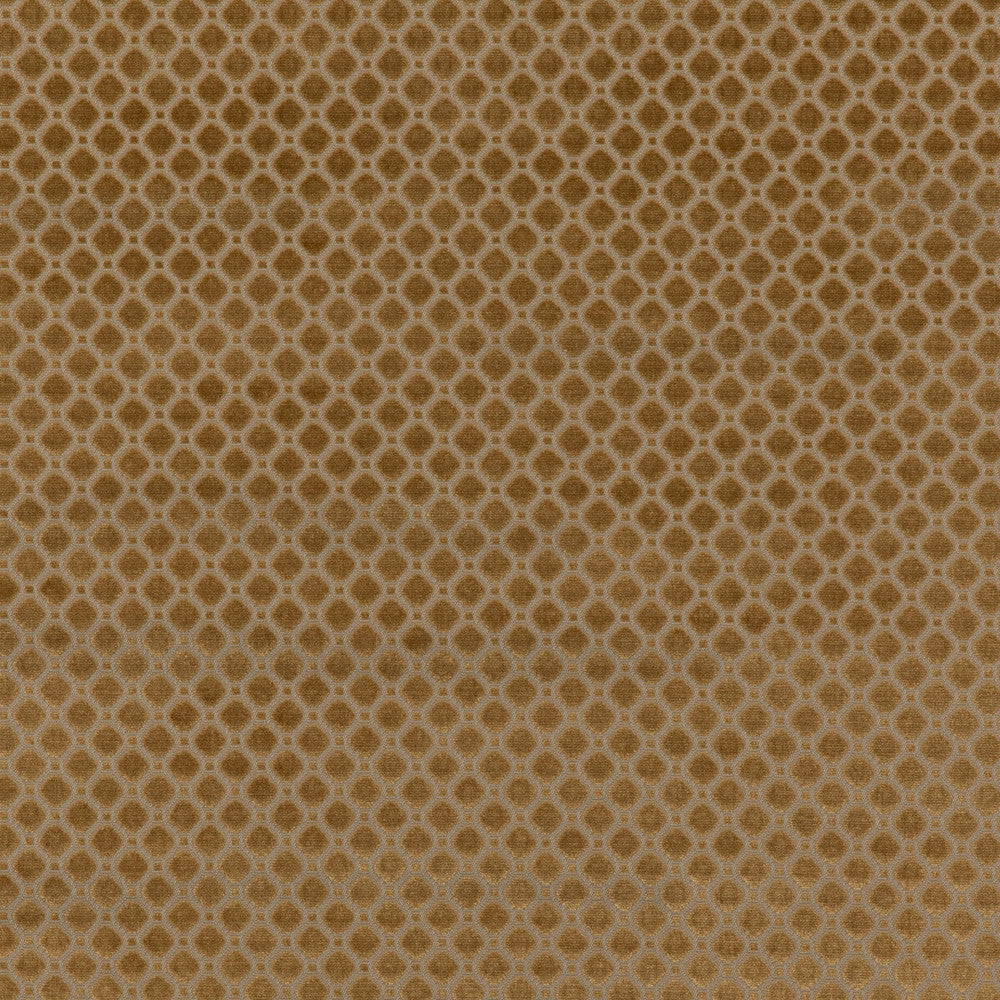 Indus Velvet Bronze by G P & J Baker Fabric COROMANDEL VELVETS VISCOSE - 100% Belgium HEAVY Horizontal: 1.379 and Vertical: 1.379 53.978 - Fabric Carolina -