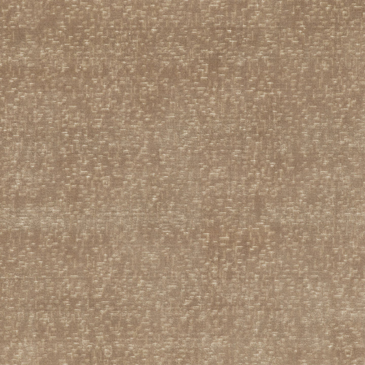 Alma Velvet Oyster by G P & J Baker Fabric COROMANDEL VELVETS VISCOSE - 100% Belgium HEAVY Horizontal: and Vertical: 53.978 - Fabric Carolina -
