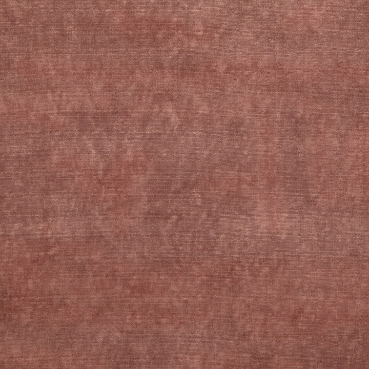 Alma Velvet Blush by G P & J Baker Fabric COROMANDEL VELVETS VISCOSE - 100% Belgium HEAVY Horizontal: - and Vertical: - 53.978 - Fabric Carolina -