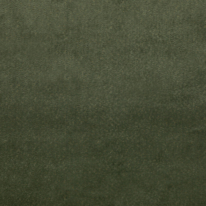 Alma Velvet Forest by G P & J Baker Fabric G P & J Baker Fabric Alma Velvet ForestFabric COROMANDEL VELVETS VISCOSE - 100% Belgium </p><p>Repeat: H: , V: 53.978 - Fabric Carolina -