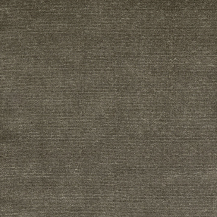 Alma Velvet Woodsmoke by G P & J Baker Fabric COROMANDEL VELVETS VISCOSE - 100% Belgium HEAVY Horizontal: and Vertical: 53.978 - Fabric Carolina -