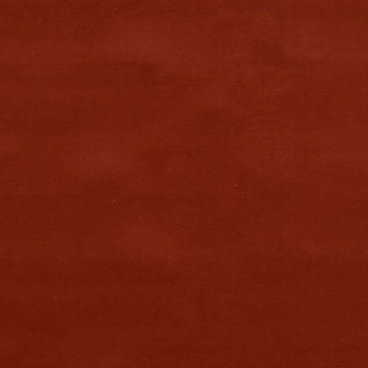 Baker House Velvet Coral by G P & J Baker Fabric BAKER HOUSE VELVET COTTON - 89%;POLYESTER - 11% Italy HEAVY Horizontal: and Vertical: 55.16 - Fabric Carolina -
