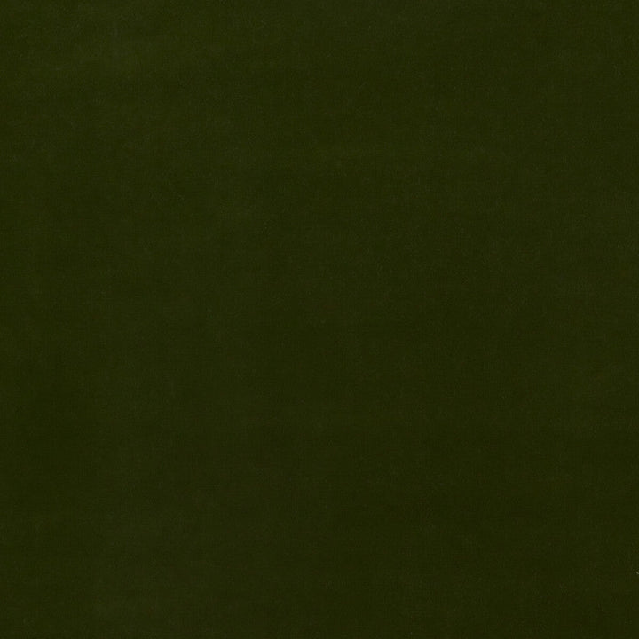 Baker House Velvet Olive by G P & J Baker Fabric G P & J Baker Fabric Baker House Velvet OliveFabric BAKER HOUSE VELVET COTTON - 89%;POLYESTER - 11% Italy </p><p>Repeat: H: , V: 55.16 - Fabric Carolina -