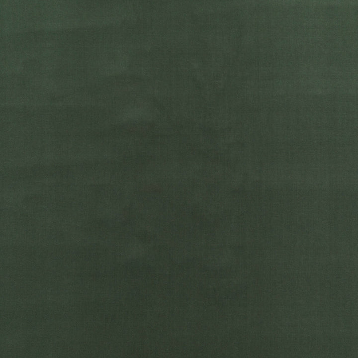 Baker House Velvet Eucalyptus by G P & J Baker Fabric BAKER HOUSE VELVET COTTON - 89%;POLYESTER - 11% Italy HEAVY Horizontal: and Vertical: 55.16 - Fabric Carolina -