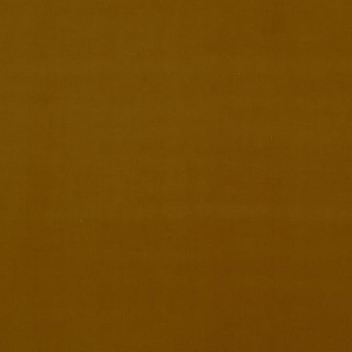 Baker House Velvet Ochre by G P & J Baker Fabric G P & J Baker Fabric Baker House Velvet OchreFabric BAKER HOUSE VELVET COTTON - 89%;POLYESTER - 11% Italy </p><p>Repeat: H: , V: 55.16 - Fabric Carolina -