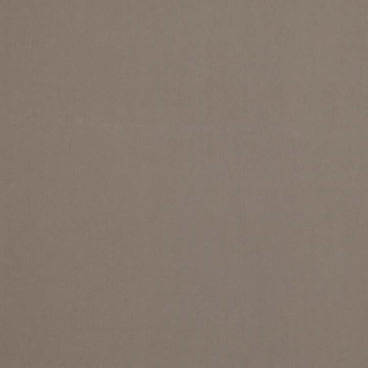 Baker House Velvet Dove by G P & J Baker Fabric BAKER HOUSE VELVET COTTON - 89%;POLYESTER - 11% Italy HEAVY Horizontal: and Vertical: 55.16 - Fabric Carolina -