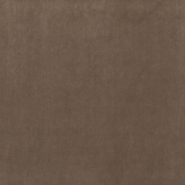 Riviera Velvet Mink by G P & J Baker Fabric RIVIERA VELVET TREVIRA CS POLYESTER - 100% Belgium HEAVY Horizontal: - and Vertical: - 55.16 - Fabric Carolina -