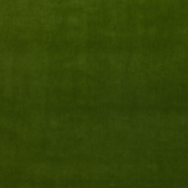 Riviera Velvet Olive by G P & J Baker Fabric RIVIERA VELVET TREVIRA CS POLYESTER - 100% Belgium HEAVY Horizontal: and Vertical: 55.16 - Fabric Carolina -