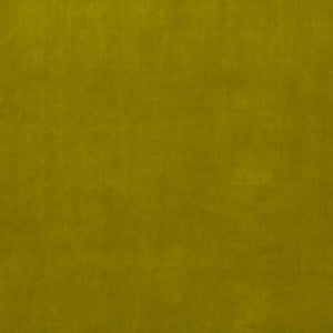 Riviera Velvet Lime by G P & J Baker Fabric