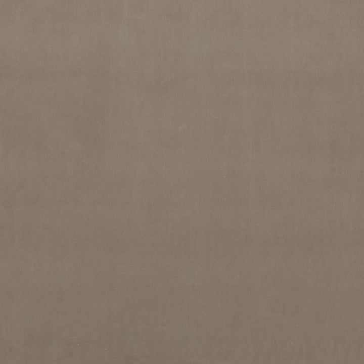 Riviera Velvet Dove by G P & J Baker Fabric RIVIERA VELVET TREVIRA CS POLYESTER - 100% Belgium HEAVY Horizontal: - and Vertical: - 55.16 - Fabric Carolina -