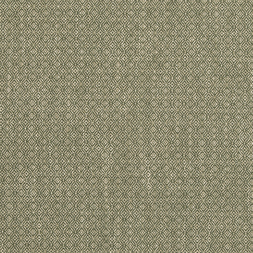 Kenton Green by G P & J Baker Fabric ESSENTIAL COLOURS II VISCOSE - 60%;COTTON - 18%;POLYESTER - 12%;LINEN - 9%;SILK - 1% Italy HEAVY Horizontal: 0.985 and Vertical: 0.985 55.16 - Fabric Carolina -