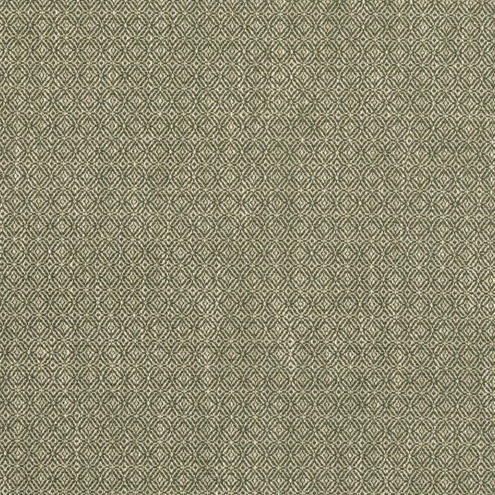 Kenton Green by G P & J Baker Fabric ESSENTIAL COLOURS II VISCOSE - 60%;COTTON - 18%;POLYESTER - 12%;LINEN - 9%;SILK - 1% Italy HEAVY Horizontal: 0.985 and Vertical: 0.985 55.16 - Fabric Carolina -