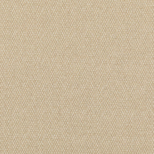 Pednor Parchment by G P & J Baker Fabric