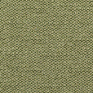 Pednor Green by G P & J Baker Fabric