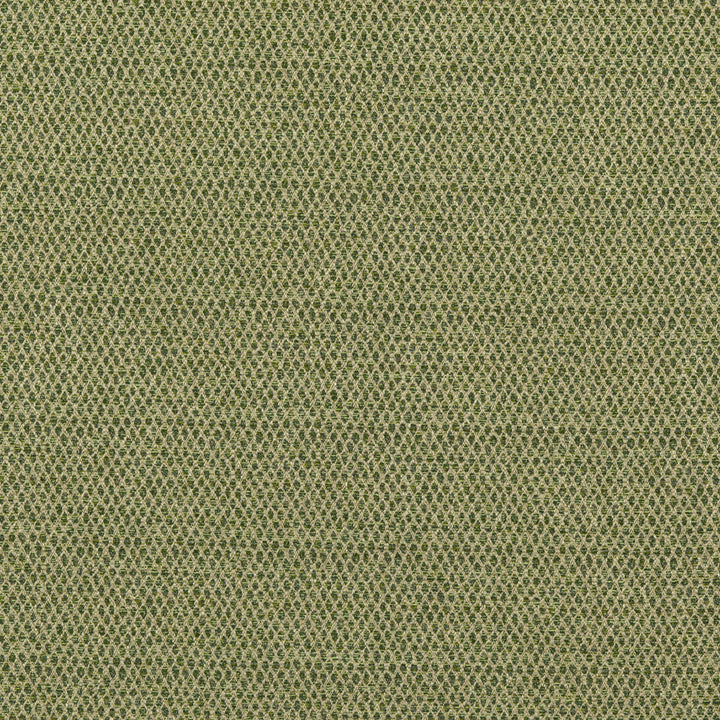 Pednor Green by G P & J Baker Fabric G P & J Baker Fabric Pednor GreenFabric ESSENTIAL COLOURS II VISCOSE - 45%;COTTON - 19%;POLYESTER - 14%;ACRYLIC - 11%;LINEN - 11% Italy </p><p>Repeat: H: , V: 54.766 - Fabric Carolina -