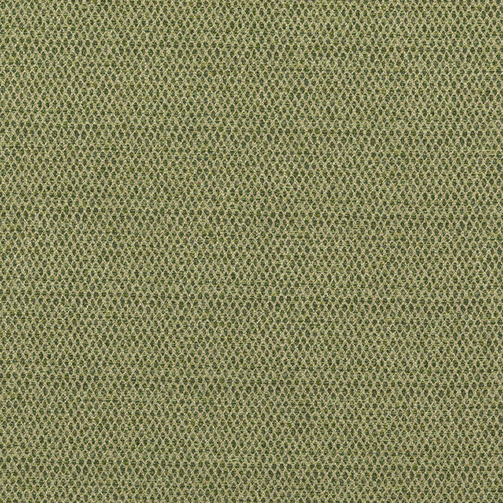 Pednor Green by G P & J Baker Designer Fabric ESSENTIAL COLOURS II VISCOSE - 45%;COTTON - 19%;POLYESTER - 14%;ACRYLIC - 11%;LINEN - 11% Italy - Horizontal: - and Vertical: - 54.766 - Swanky Fabrics -
