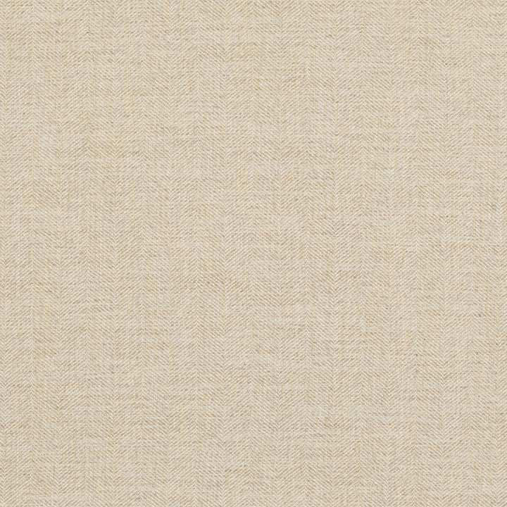 Grand Canyon Parchment by G P & J Baker Fabric G P & J Baker Fabric Grand Canyon ParchmentFabric ESSENTIAL COLOURS II VISCOSE - 42%;LINEN - 33%;COTTON - 21%;POLYESTER - 4% Italy </p><p>Repeat: H: 2.364, V: 55.16 - Fabric Carolina -