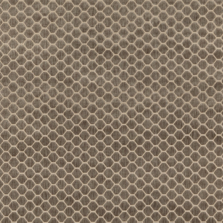 Swanbourne Mole by G P & J Baker Fabric ESSENTIAL COLOURS II VISCOSE - 64%;COTTON - 19%;POLYESTER - 17% Belgium HEAVY Horizontal: 1.773 and Vertical: 1.182 54.372 - Fabric Carolina -