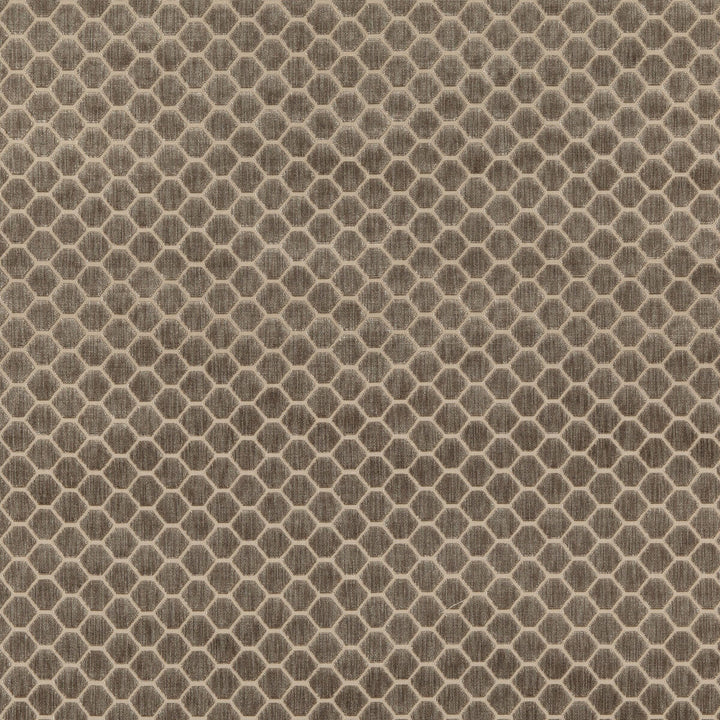 Swanbourne Mole by G P & J Baker Fabric G P & J Baker Fabric Swanbourne MoleFabric ESSENTIAL COLOURS II VISCOSE - 64%;COTTON - 19%;POLYESTER - 17% Belgium </p><p>Repeat: H: 1.773, V: 1.182 54.372 - Fabric Carolina -