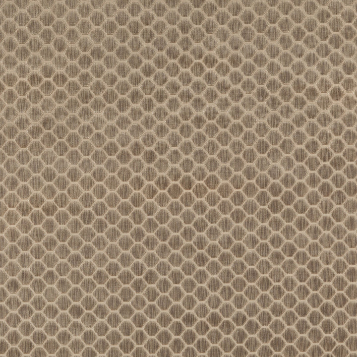 Swanbourne Mink by G P & J Baker Fabric ESSENTIAL COLOURS II VISCOSE - 64%;COTTON - 19%;POLYESTER - 17% Belgium HEAVY Horizontal: 1.773 and Vertical: 1.182 54.372 - Fabric Carolina -