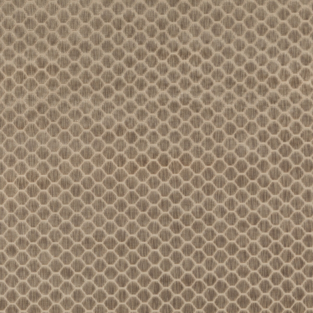 Swanbourne Mink by G P & J Baker Fabric ESSENTIAL COLOURS II VISCOSE - 64%;COTTON - 19%;POLYESTER - 17% Belgium HEAVY Horizontal: 1.773 and Vertical: 1.182 54.372 - Fabric Carolina -