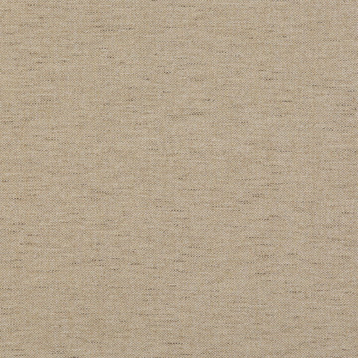 Pentridge Sand by G P & J Baker Fabric G P & J Baker Fabric Pentridge SandFabric BAKER HOUSE TEXTURES COTTON - 46%;VISCOSE - 32%;LINEN - 18%;POLYESTER - 4% Italy </p><p>Repeat: H: , V: 55.16 - Fabric Carolina -