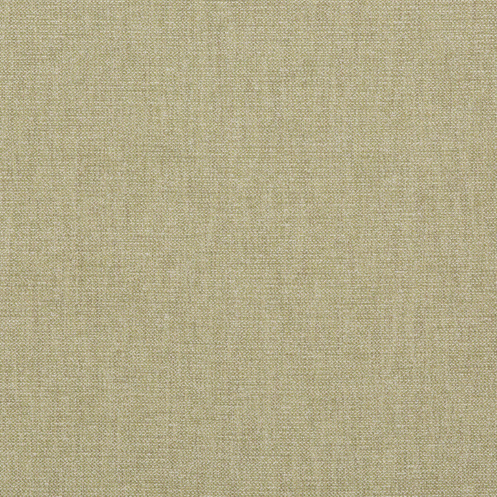 Pentridge Leaf by G P & J Baker Fabric G P & J Baker Fabric Pentridge LeafFabric BAKER HOUSE TEXTURES COTTON - 46%;VISCOSE - 32%;LINEN - 18%;POLYESTER - 4% Italy </p><p>Repeat: H: , V: 55.16 - Fabric Carolina -