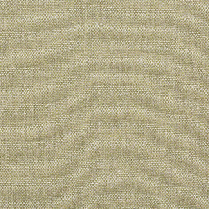 Pentridge Leaf by G P & J Baker Fabric G P & J Baker Fabric Pentridge LeafFabric BAKER HOUSE TEXTURES COTTON - 46%;VISCOSE - 32%;LINEN - 18%;POLYESTER - 4% Italy </p><p>Repeat: H: , V: 55.16 - Fabric Carolina -