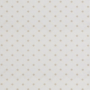 Ashbury Ivory BF11030.104.0 by G P & J Baker Fabric