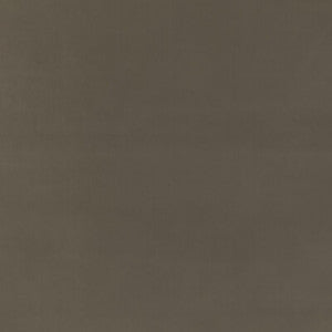 Baker House Fr Velvet Mink BF11040.285.0 by G P & J Baker Fabric