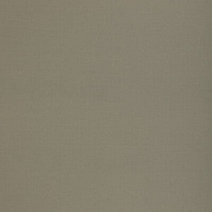 Kemble Grass BF11046.735.0 by G P & J Baker Fabric