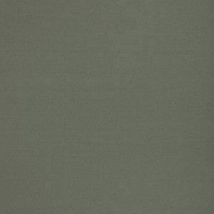 Kemble Fern BF11046.775.0 by G P & J Baker Fabric
