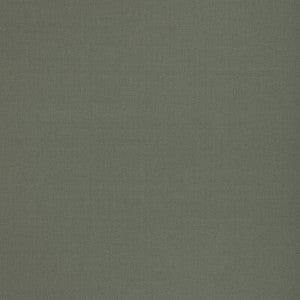Kemble Fern BF11046.775.0 by G P & J Baker Fabric