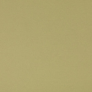 Kit'S Linen Grass BF11066.736.0 by G P & J Baker Fabric