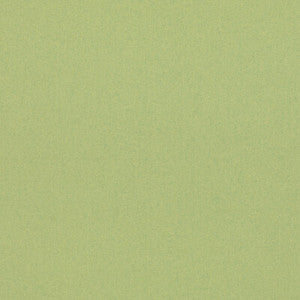 Kit'S Linen Spring Green BF11066.760.0 by G P & J Baker Fabric