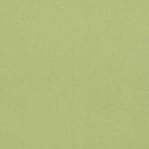 Kit'S Linen Spring Green BF11066.760.0 by G P & J Baker Fabric