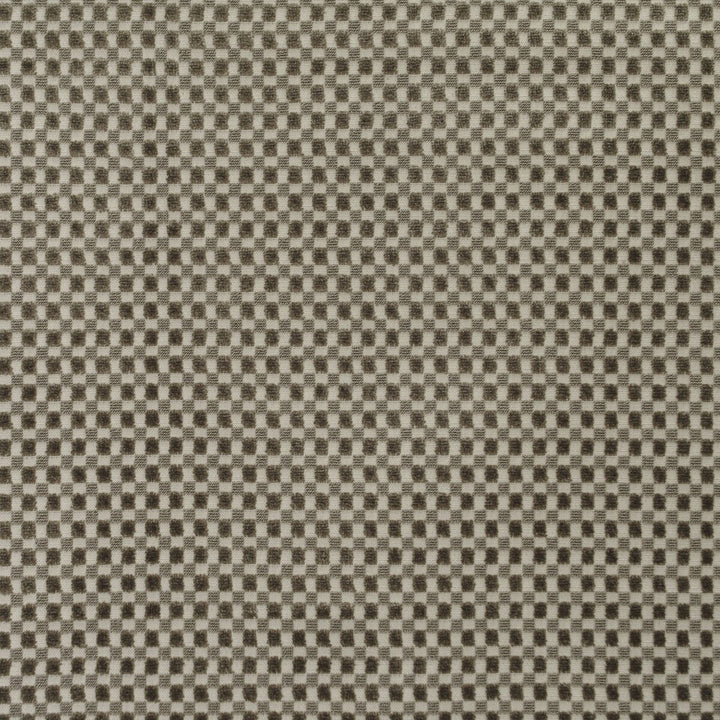 Fraser Velvet Sable by Lee Jofa Fabric BLITHFIELD VISCOSE - 59.1%;POLYESTER - 23.3%;COTTON - 17.6% Belgium HEAVY Horizontal: 0.39 and Vertical: 0.39 54.33 - Fabric Carolina -