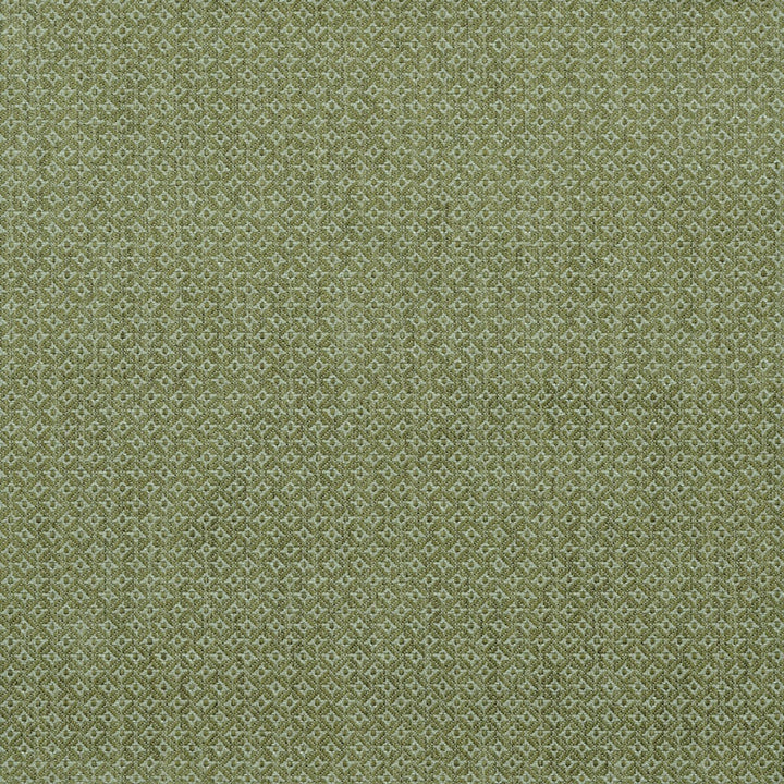 Cavendish Lime by Lee Jofa Fabric BLITHFIELD COTTON - 46%;VISCOSE - 32%;LINEN - 18%;POLYESTER - 4% United Kingdom HEAVY Horizontal: 0.7 and Vertical: 0.8 54.2 - Fabric Carolina -