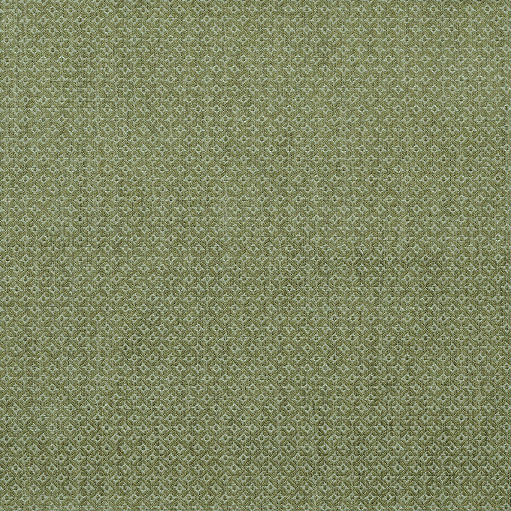Cavendish Lime by Lee Jofa Fabric BLITHFIELD COTTON - 46%;VISCOSE - 32%;LINEN - 18%;POLYESTER - 4% United Kingdom HEAVY Horizontal: 0.7 and Vertical: 0.8 54.2 - Fabric Carolina -