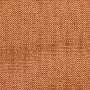 Devon Tangerine by Lee Jofa Fabric