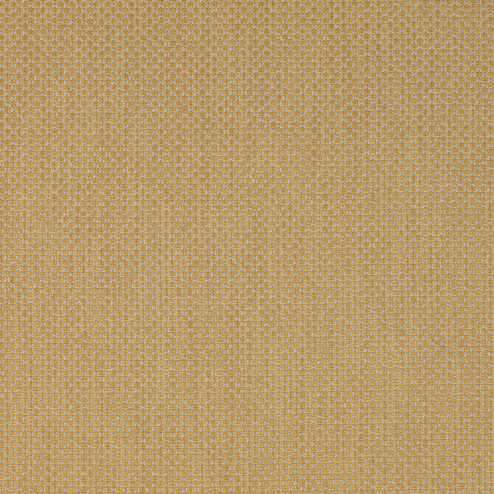 Devon Gold by Lee Jofa Fabric BLITHFIELD LINEN - 36%;COTTON - 30%;VISCOSE - 28%;POLYAMIDE - 6% Italy MEDIUM Horizontal: 0 and Vertical: 0 54.33 - Fabric Carolina -