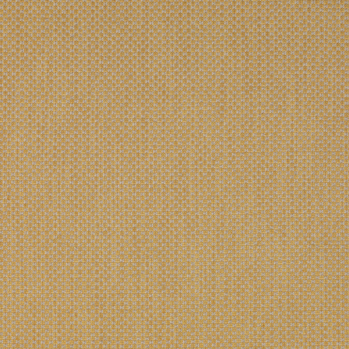 Devon Gold by Lee Jofa Fabric Lee Jofa Fabric Devon GoldFabric BLITHFIELD LINEN - 36%;COTTON - 30%;VISCOSE - 28%;POLYAMIDE - 6% Italy </p><p>Repeat: H: 0, V: 0 54.33 - Fabric Carolina -
