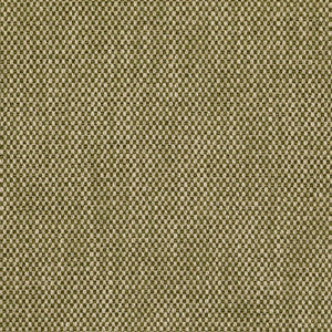 Carlton Moss BFC-3692.30.0 by Lee Jofa Fabric