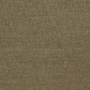 Webster Moss BFC-3713.30.0 by Lee Jofa Fabric