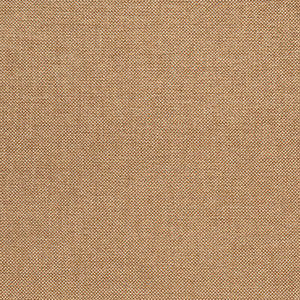 Webster Dune BFC-3713.430.0 by Lee Jofa Fabric