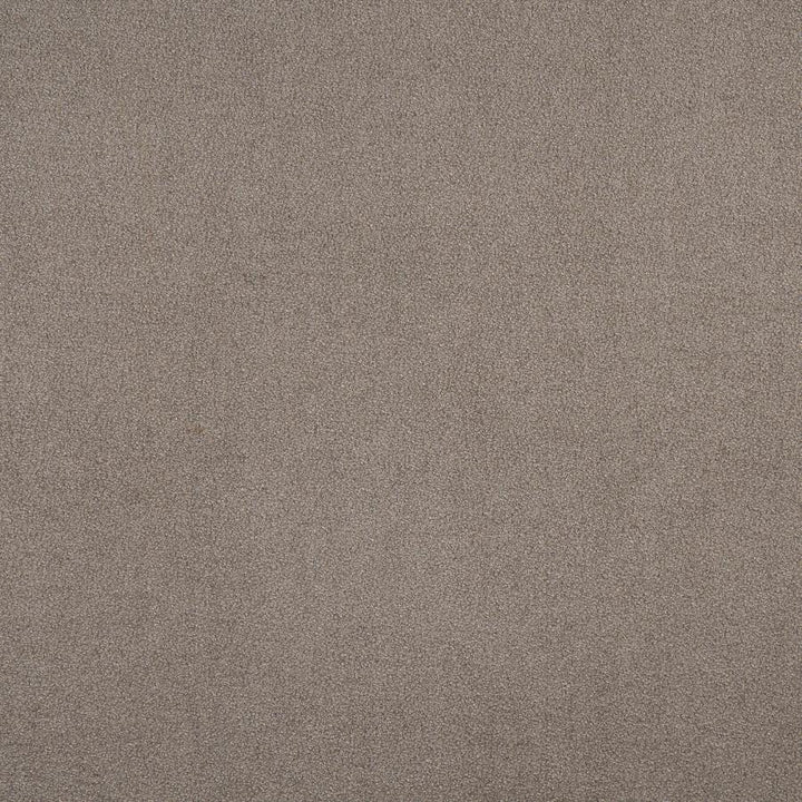 Banker # 747 Putty by Maxwell Fabric Performance Wovens-Vol. Viii Quarry 100% POLYESTER CHINA 54" - Fabric Carolina -
