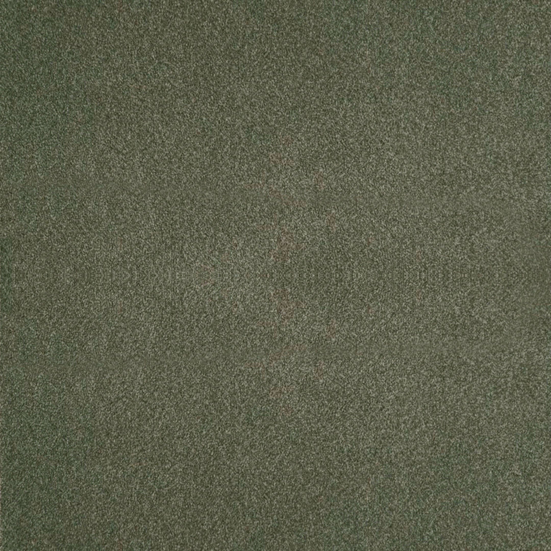Biella-Ess # 208 Olive by Maxwell Designer Fabric Performance Essentials I 100% POLYESTER CHINA 55" - Swanky Fabrics -